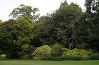 Besuch des Botanischen Gartens in Dunedin