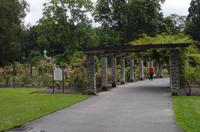 Besuch des Botanischen Gartens in Dunedin