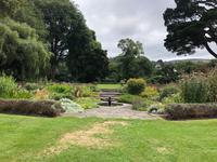 Besuch des Botanischen Gartens in Dunedin