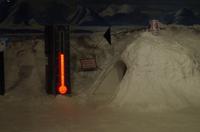 Besuch des International Antarctic Centre in Christchurch