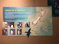 Besuch des International Antarctic Centre in Christchurch