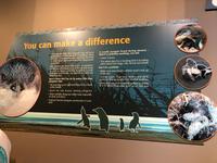Besuch des International Antarctic Centre in Christchurch