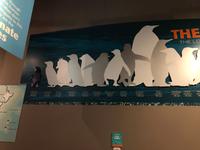 Besuch des International Antarctic Centre in Christchurch