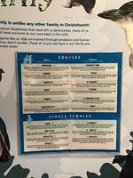 Besuch des International Antarctic Centre in Christchurch