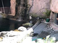 AustralieBesuch des International Antarctic Centre in Christchurch