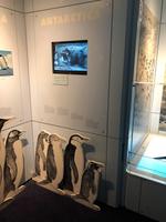 Besuch des International Antarctic Centre in Christchurch