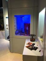 Besuch des International Antarctic Centre in Christchurch