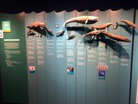 Besuch des International Antarctic Centre in Christchurch