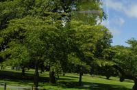 Weiterfahrt zum Zentrum von Christchurch