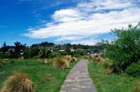 Foto-Stopp am Cashmere Hill Lookout mit Blick über Christchurch