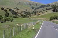 Fahrt von Christchurch zurück nach Akaroa