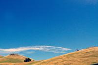 Foto-Stopp an der Hilltop Tavern