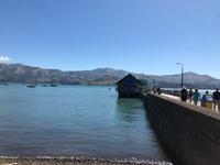 Ankunft im Hafen von Akaroa