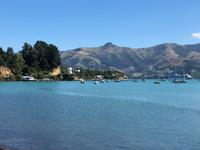 Ankunft im Hafen von Akaroa