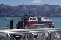 Ankunft im Hafen von Akaroa