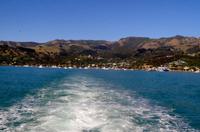 Tendern zurück zum Schiff in Akaroa