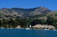 Tendern zurück zum Schiff in Akaroa