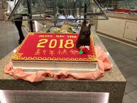 Unterwegs mit der Diamond Princess