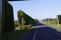 Fahrt von Tauranga nach Rotorua