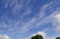 Besuch des Te Puia Te Puia Maori Arts & Crafts in Rotorua