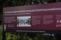 Besuch des Te Puia Te Puia Maori Arts & Crafts in Rotorua