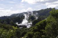 Besuch des Te Puia Te Puia Maori Arts & Crafts in Rotorua
