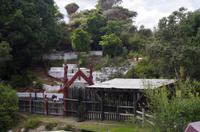 Besuch des Te Puia Te Puia Maori Arts & Crafts in Rotorua
