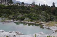 Besuch des Te Puia Te Puia Maori Arts & Crafts in Rotorua