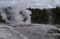 Besuch des Te Puia Te Puia Maori Arts & Crafts in Rotorua