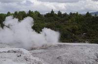 Besuch des Te Puia Te Puia Maori Arts & Crafts in Rotorua
