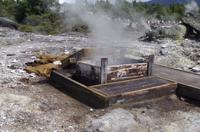 Besuch des Te Puia Te Puia Maori Arts & Crafts in Rotorua