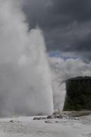 Besuch des Te Puia Te Puia Maori Arts & Crafts in Rotorua
