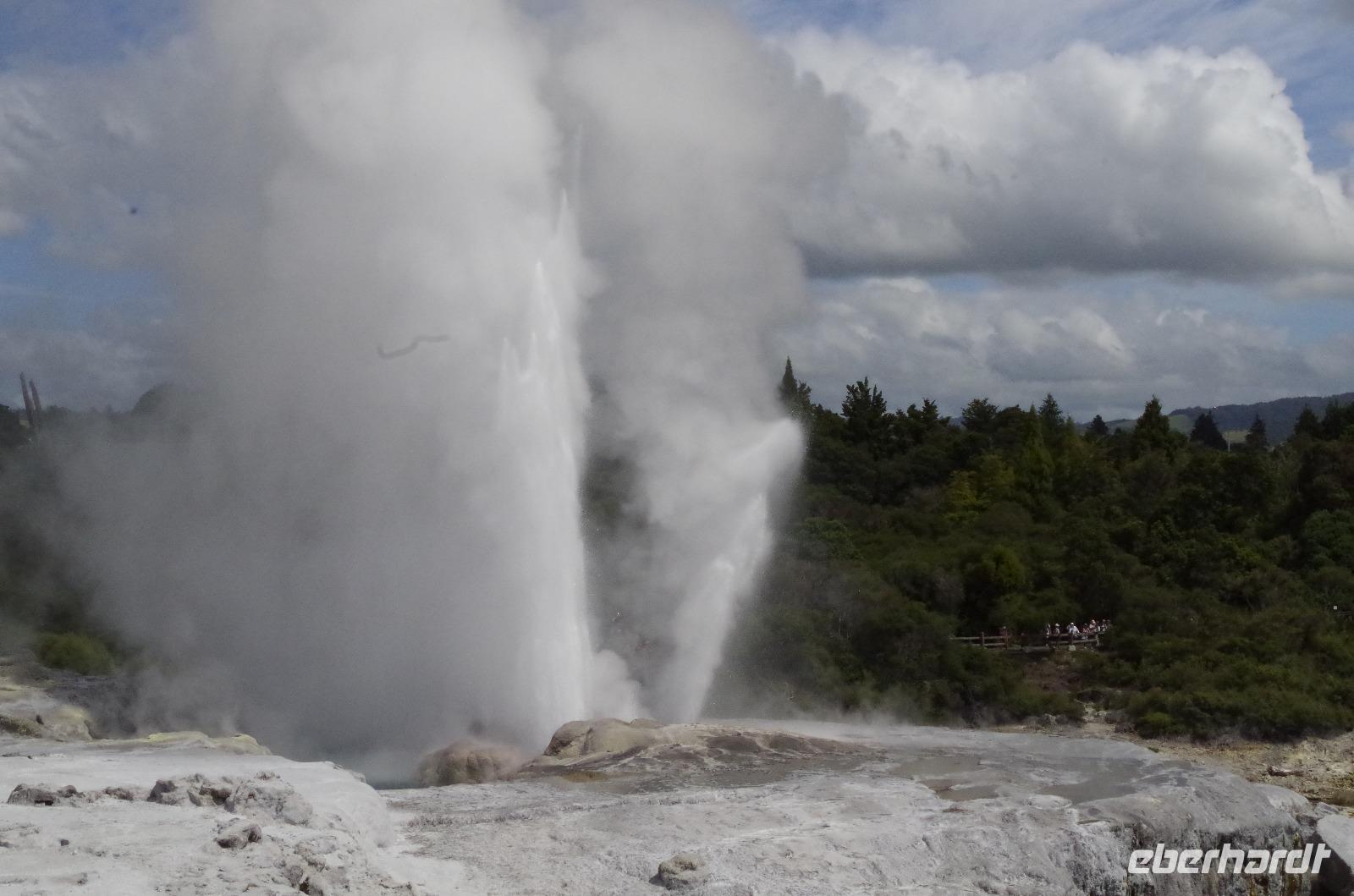 Besuch des Te Puia Te Puia Maori Arts & Crafts in Rotorua