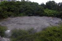 Besuch des Te Puia Te Puia Maori Arts & Crafts in Rotorua