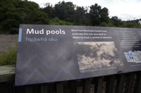 Besuch des Te Puia Te Puia Maori Arts & Crafts in Rotorua