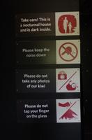 Besuch des Te Puia Te Puia Maori Arts & Crafts in Rotorua