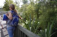 Besuch des Te Puia Te Puia Maori Arts & Crafts in Rotorua