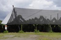 Fahrt von Rotorua nach Tauranga