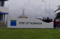 Hafen in Tauranga