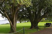 Stadtrundfahrt durch Auckland