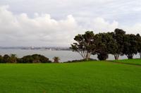 Stadtrundfahrt durch Auckland