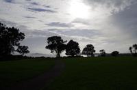 Stadtrundfahrt durch Auckland