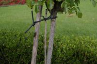 Stadtrundfahrt durch Auckland