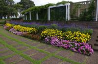 Stadtrundfahrt durch Auckland