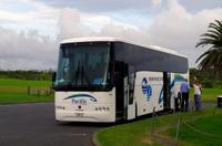 Stadtrundfahrt durch Auckland