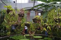 Besuch des Botanischen Gartens in Auckland