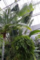 Besuch des Botanischen Gartens in Auckland