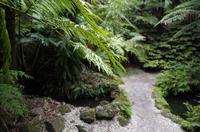Besuch des Botanischen Gartens in Auckland