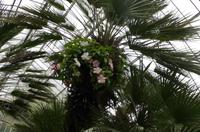 Besuch des Botanischen Gartens in Auckland