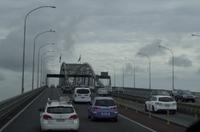 Stadtrundfahrt durch Auckland